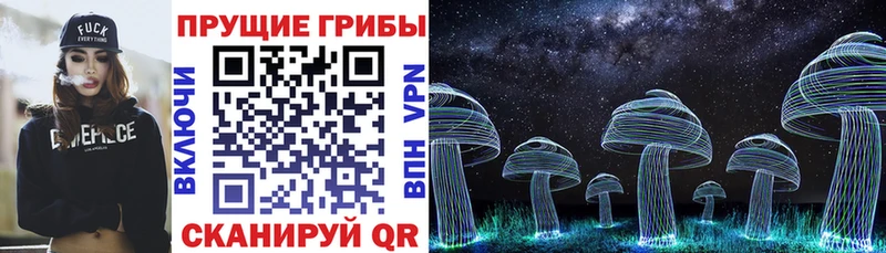 Псилоцибиновые грибы Psilocybine cubensis Шенкурск